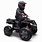 Electric 4 Wheelers for Kids
