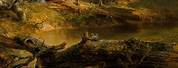 Elephant Painting Asher Brown Durand
