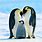 Emperor Penguin Aptenodytes Forsteri