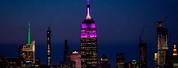 Empire State Building Purple BTS