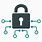 Encrypted Lock Icon