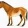 Equus Horse
