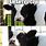 Evil Cow Memes Funny