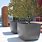 Extra Large Outdoor Plant Containers