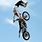 FMX Freestyle