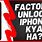 Factory Unlocked iPhone