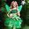 Fairy Dress Costume