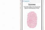 Fingerprint Apple