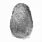 Fingerprint Photo
