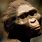 First Human Ancestor