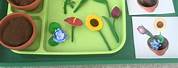 Flower Themed Preschool Activities