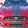 Ford Mustang Stripes