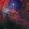Fox Fur Nebula NASA