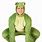 Frog Costume Adult