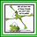 Frog Quotes Humor