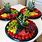 Fruit Trays for Parties Ideas