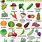Fruit and Vegetable Food List