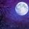 Full Moon Night Sky Art