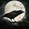 Full Moon Raven