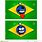 Funny Brazil Flag