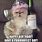 Funny Cat Birthday Pictures