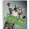 Funny Cat Thank You Cards