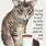 Funny Cats and Coffee