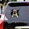 Funny Dog Decals
