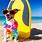 Funny Dog On Beach