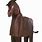 Funny Horse Costumes