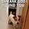 Funny Jack Russell Memes