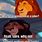 Funny Lion King Memes