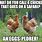 Funny Memes About Chickens