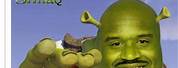 Funny Memes with Shrek
