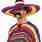 Funny Mexican Sombrero