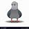 Funny Pigeon Cartoon