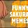 Funny Sakura Memes