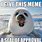 Funny Seal Memes
