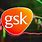 GSK Stock Price