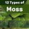 Garden Moss Types