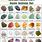 Gem and Mineral Chart