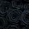 Gothic Black Roses iPhone Wallpaper