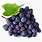 Grapes Photo