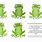 Green Frog Printable