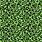 Green Leopard Pattern