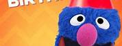 Grover Birthday