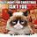 Grumpy Cat Christmas Memes Clean