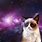 Grumpy Cat Galaxy