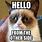 Grumpy Cat Hello Meme