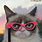 Grumpy Cat with Glasses